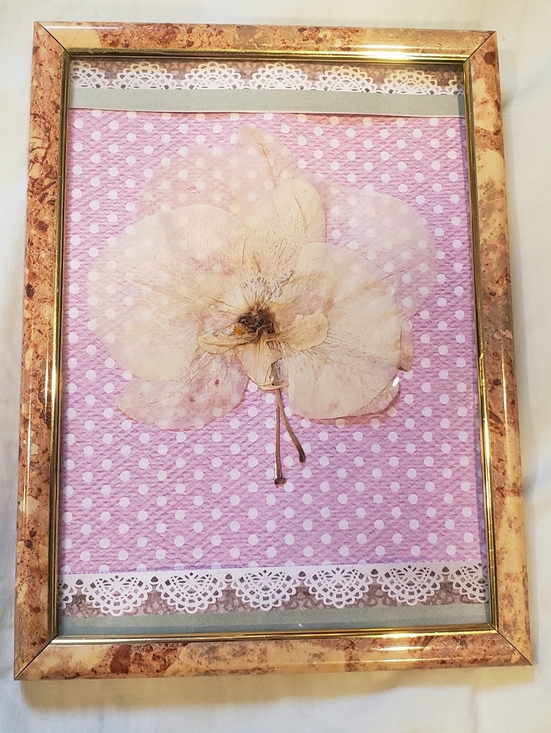 Other - Beautiful Handmade Dried Plant / Flower Art / Wall Decor In Frame With Glass